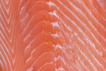 Salmon fillets as texture close-up.
