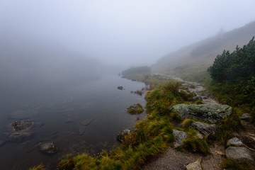 misty morning view in wet mountain area in slovakian tatra. mountain lake panorama. tourist hiking trail