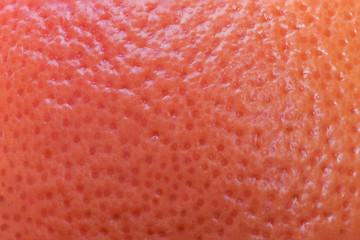 Pink grapefruit peel texture close-up.