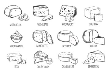 Set of isolated sketches of cheese types