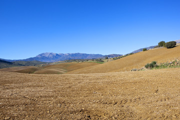 mountain farmland