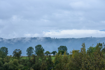 misty morning view in wet mountain area in slovakian tatra. autumn colored forests