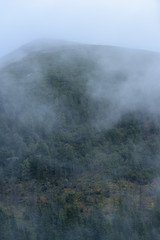 misty morning view in wet mountain area in slovakian tatra. autumn colored forests