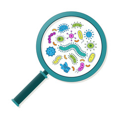 Green, pink, yellow, orange and blue germs and magnifying glass - Vector illustration
