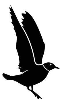 the silhouette of the bird landed