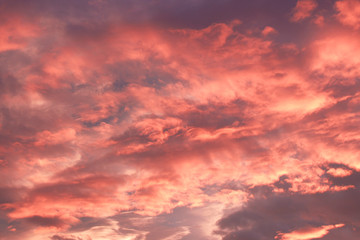 Naklejka na ściany i meble Blue sky with pink clouds on sunset