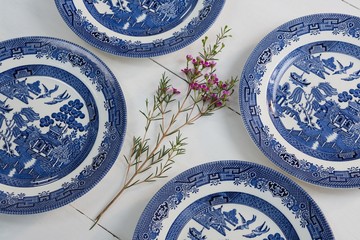 Empty plates and flower on white background