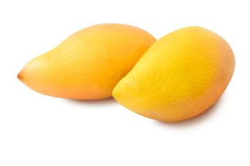 Mangos on white background