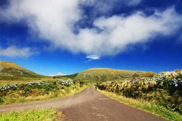 Alpine road on Flores Island, Azores, Portugal, Europe