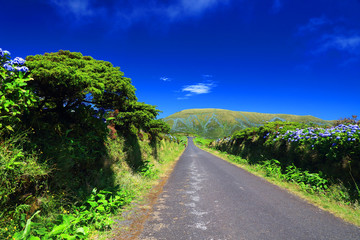 Mountain road on Flores Island, Azores, Portugal, Europe