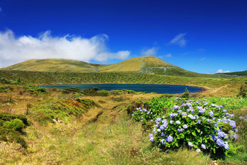Fototapeta na wymiar Lake Rasa, Flores Island, Azores, Portugal, Europe
