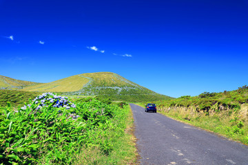 Alpine road on Flores Island, Azores, Portugal, Europe