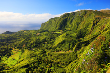 Green summer landscape on the Island of Flores, Azores, Portugal, Europe