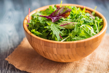 Fresh rustic vegetable salad on rustic background