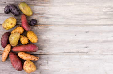 fresh organic potatoes varieties over plank rustic background