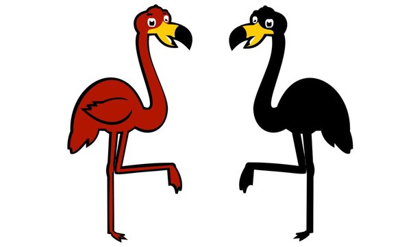 two flamingo birds