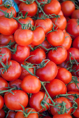 Group of fresh tomatoes
