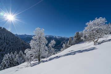 Fototapeta na wymiar Tief verschneite Winterlandschaft in den Bergen