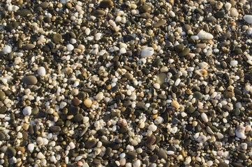 Small smooth pebbles texture background.