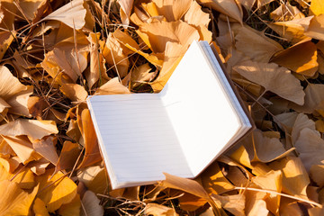 Note paper book on autumn leaves 