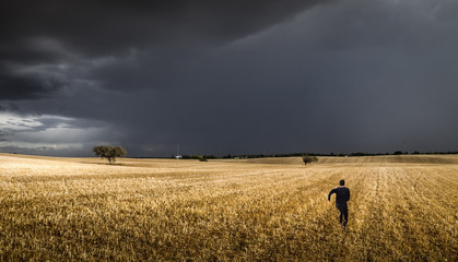 summer storm in the pasture