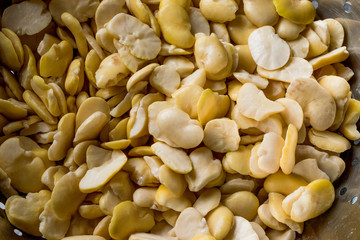 Pile of Dried Broad Beans Backround