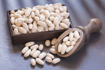 Raw organic white beans - Phaseolus vulgaris