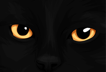 Cat Eyes on black background. Vector Illustration, cartoon style