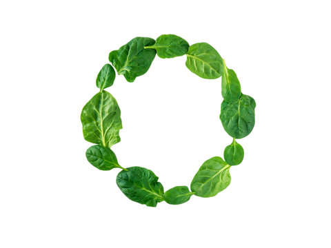 Round wreath of spinach leaves top view
