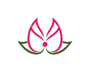 Beauty Lotus flowers Vector  design