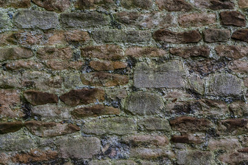 Brick Wall for 3D Texture