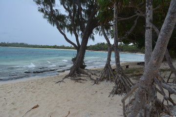 Mystery Island Beach