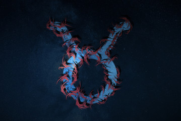 Taurus Zodiac Sign hippie style.