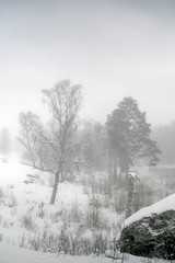 Winter mist