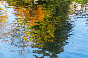 Beautifully Reflected Trees and Leaves in the Water Surface for 3D Texture