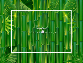 Green bamboo fram background