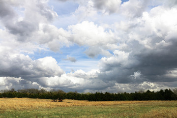 Green and Golden Kansas Field Cloud Filled Blue Sky, room for copy