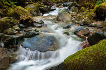 Smooth Water Flowing Through a Rainforest Environment. Wells Creek, in the Mt. Baker National Forest, flows down to meet the Nooksack River through a mossy green forest in Washington state.