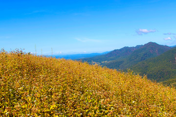 Landscape of beautiful blue skyand tree. Silhouette of hills .