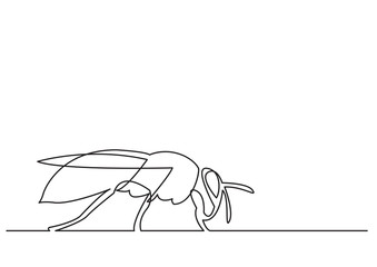continuous line drawing of isolated vector object - honey bee