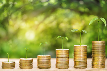 Tree growing on money coins arranged as a graph on wooden table with natural bokeh background, concept of business growth and saving money