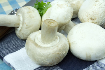 champignons de paris