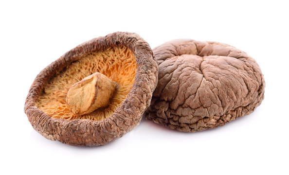 dried mushrooms on white background