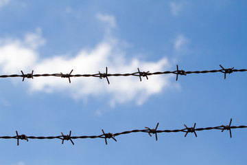 Barbed wire with blue cloudy sky background, dream of freedom, without freedom, hold captive concept