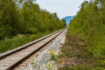 Fototapeta premium railway leading to far far away with trees on both sides