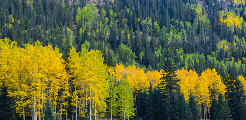 Autumn mountain scenery in Telluride, Colorado, USA