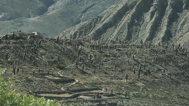 View of the Pucara de Tilcara, pre-Inca Fortification Ruins, Argentina, Jujuy province, Quebrada de Humahuaca listed as World Heritage by UNESCO.  