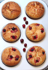 Muffins with cranberries in the baking dish