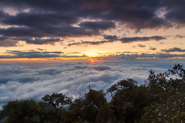Fototapeta na wymiar Great view of the foggy at Doi Luang Chiang Dao, High mountain in Chiang Mai Province, Thailand