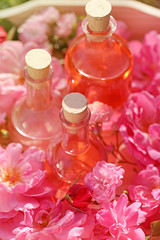 Obraz na płótnie Canvas rose oil. Spa set rose petals oil , Rose Water in glass bottle. natural rose oil in glass bottles and pink roses in a wooden tray. Massage, aromatherapy and organic cosmetics concept
